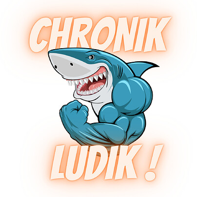 CHRONIK LUDIK #14