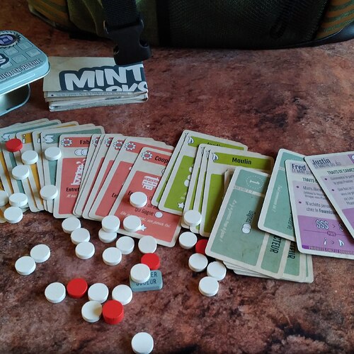 Les MINT : Prenez un meeple Emile!