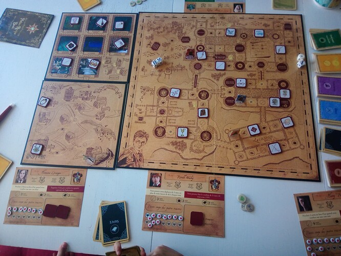 Harry Potter - une année à Poudlard