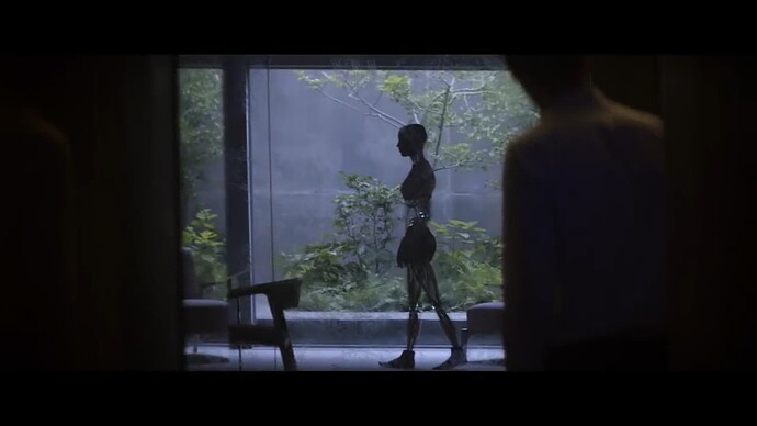 Capture d’écran (7)