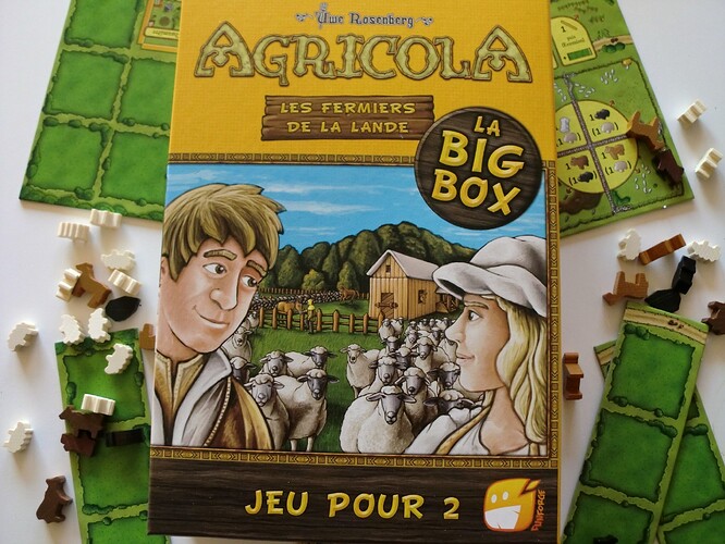 Critique d’Agricola – Les fermiers de la lande (Big Box)