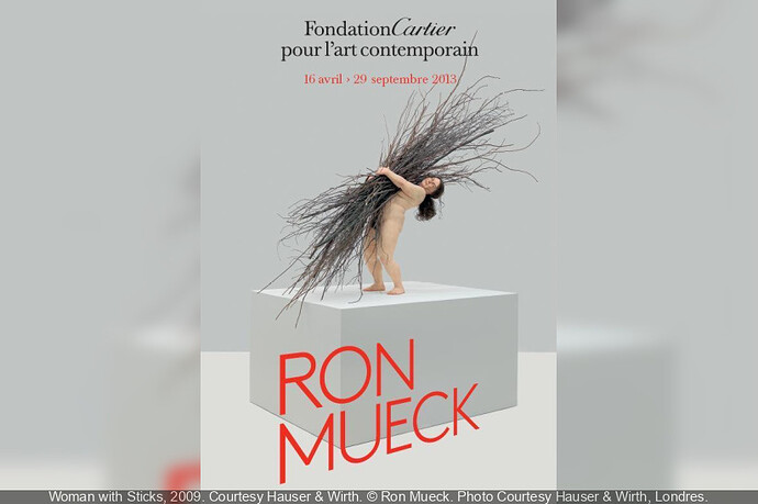 90045-exposition-ron-mueck-fondation-cartier-2013