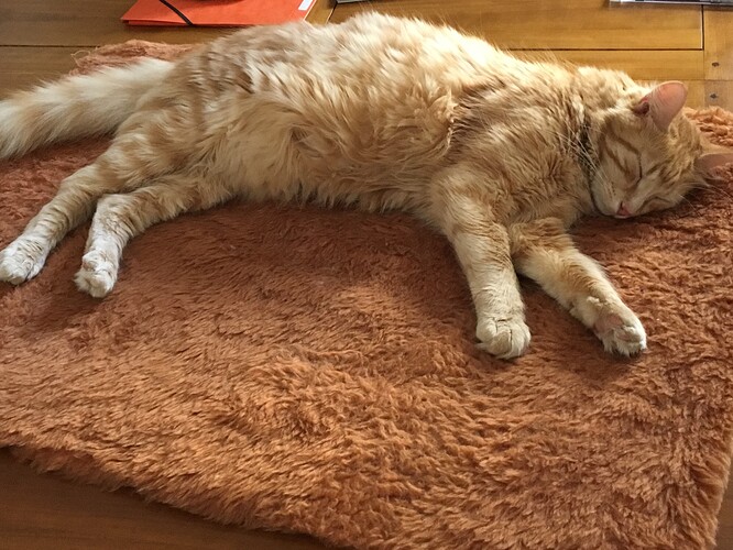 c41ba49fedae8635bfa0611c07f7b9e47024.jpe