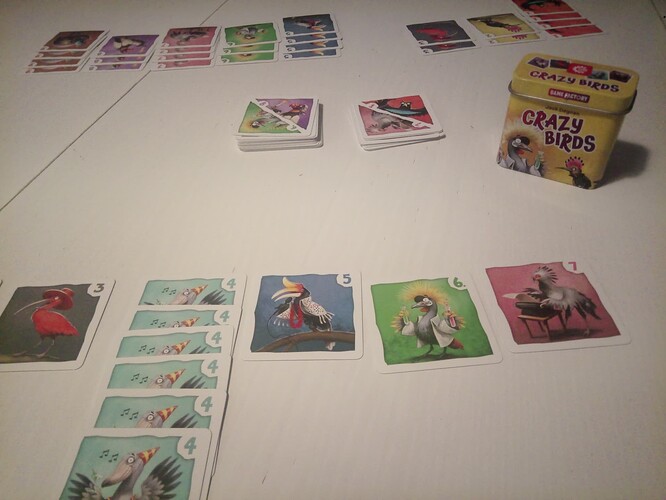 IMG_20251214_172911_730