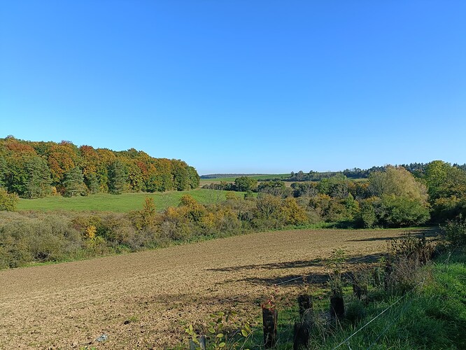 IMG20251011150312