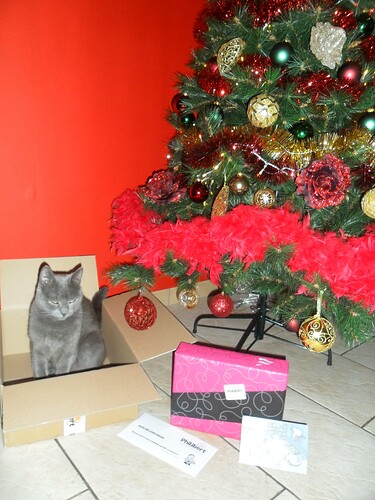 2db936bc41067793a04942f8d9799cfca4b1.jpe