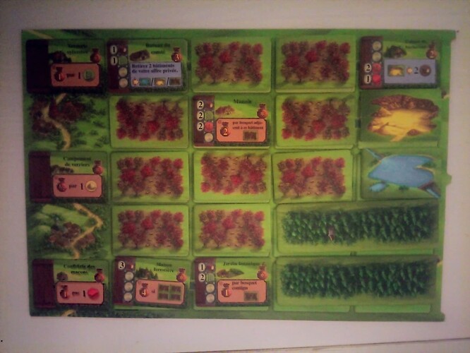 IMG_20251125_013936_4CS~2