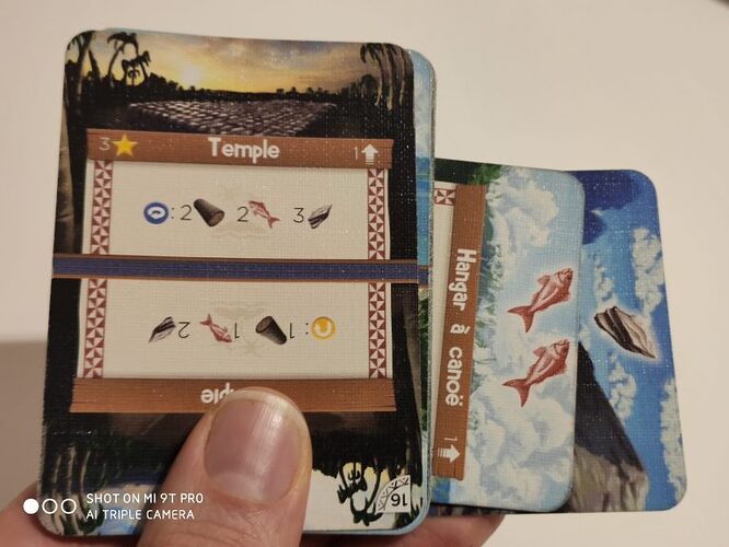 IMG_20191115_203622-scaled