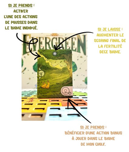 Capture d’écran 2025-10-18 175314