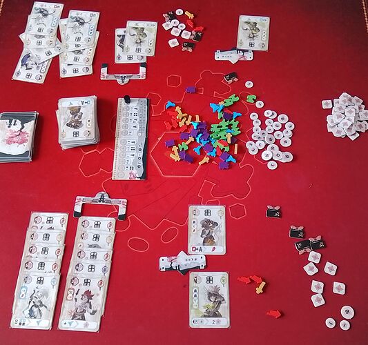 IMG_20260207_155044_2