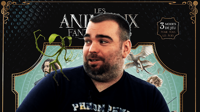 Les Animaux Fantastiques, de l'explipartie !