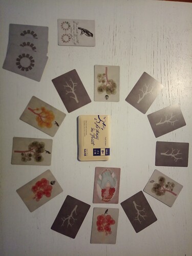 IMG_20251220_162821_691