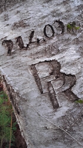 Tric Trac