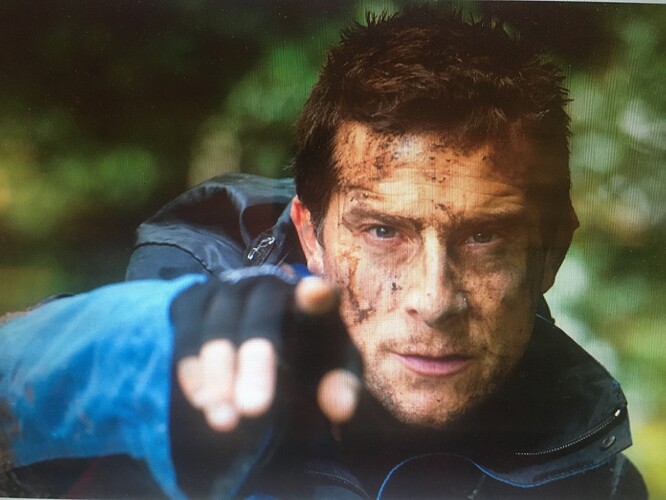 880ff8dd054bdaf529db3cb30f285ae73db0.jpe