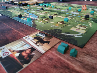 caylus12_09 (3)