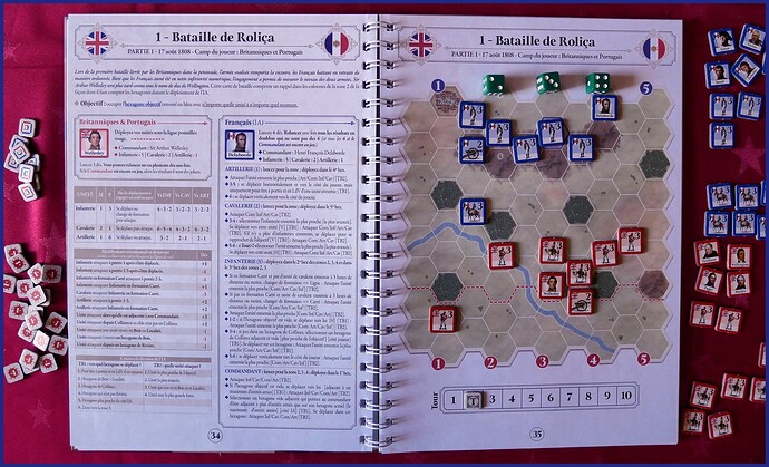 Les aigles de Napoléon en péninsule