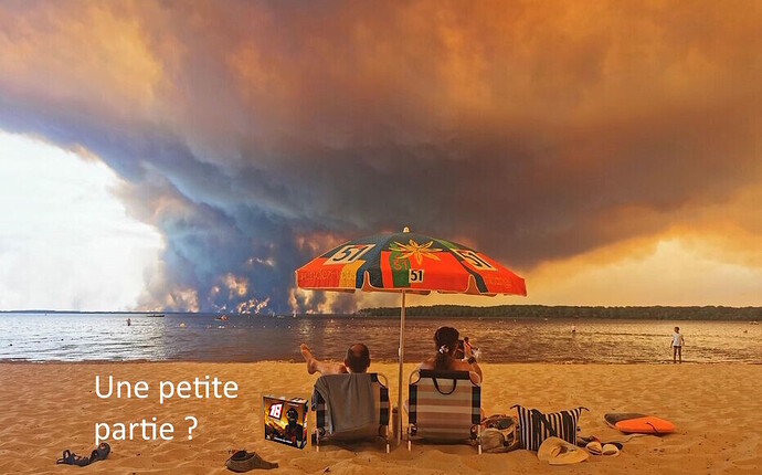Incendie plage Soldats du Feu partie