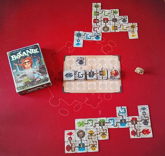 IMG_20260205_134551_2