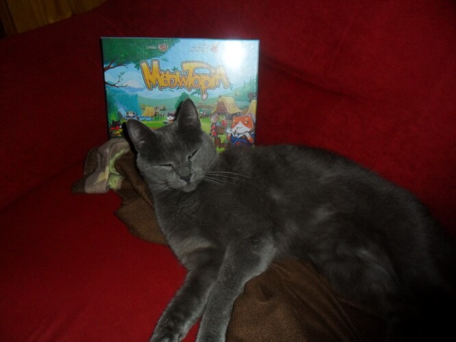 326c82a60f2db2d3a097a7879bec456f8e2a.jpe 326c82a60f2db2d3a097a7879bec456f8e2a.jpe