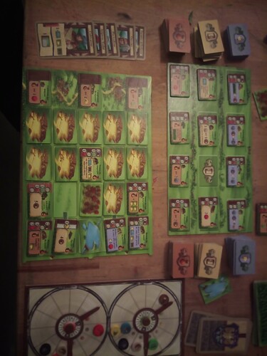 IMG_20260113_191848_669