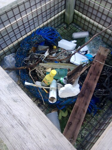 IMG_20251108_164231_528