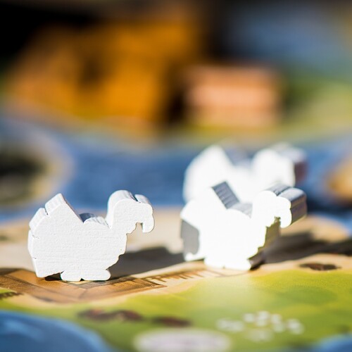 THE RIVER : une synthèse du jeu de gestion pour les familles !
