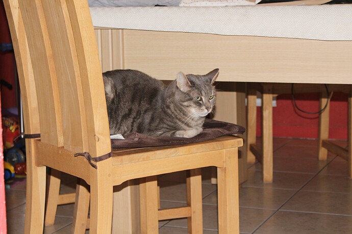 4bd52b0eb98a7653254c7925d472136de238.jpe