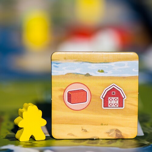 THE RIVER : une synthèse du jeu de gestion pour les familles !