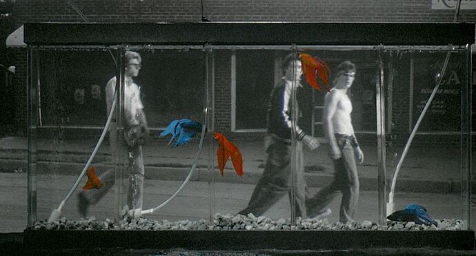 MoC_RUMBLE_FISH_300dpi_Press1+(Large).jp