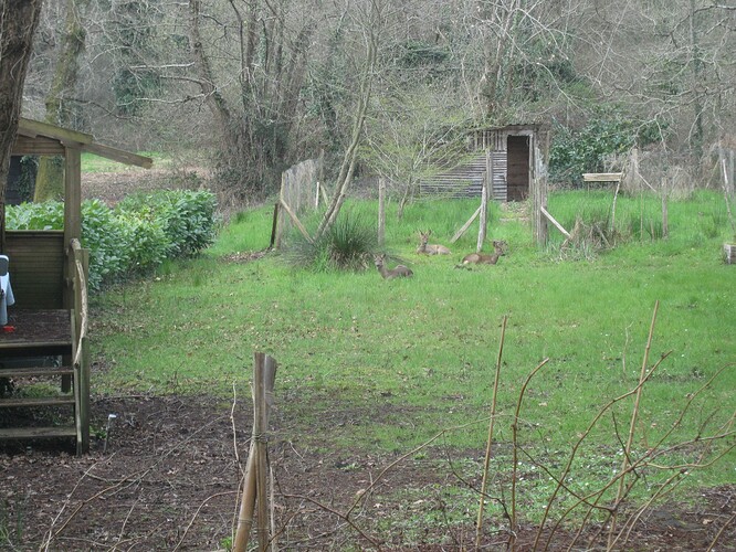 93e52d85a2e00ce5dcba73fa19f28e61efdc.jpe