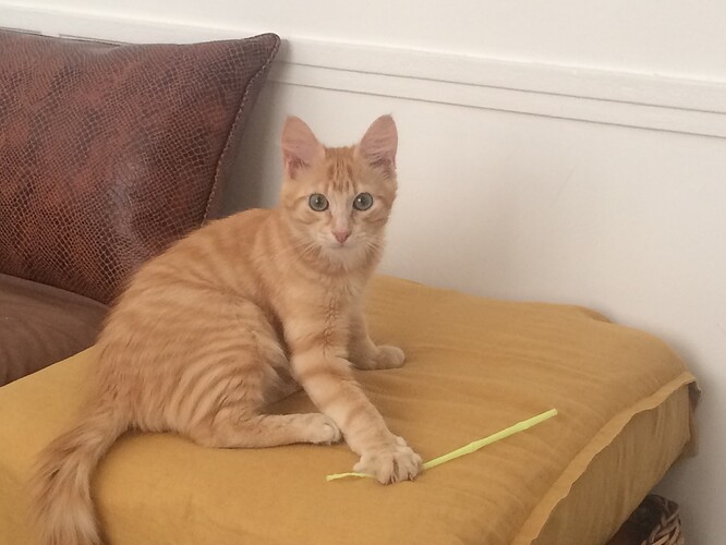 9003d9836dd7b34dd60192fed1fded6d0b10.jpe