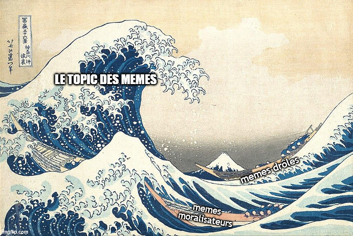 la vague des memes