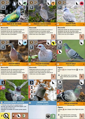 AN Pigeons Extension