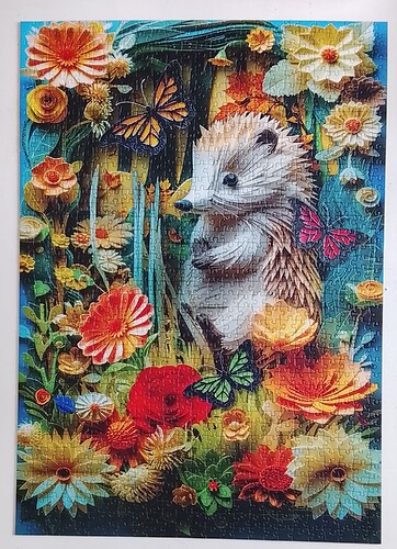 IMG_20251123_115251_2