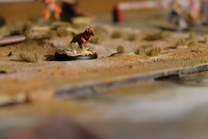 af0bf2dfd69bade74777c205bad578e7cca9.jpe