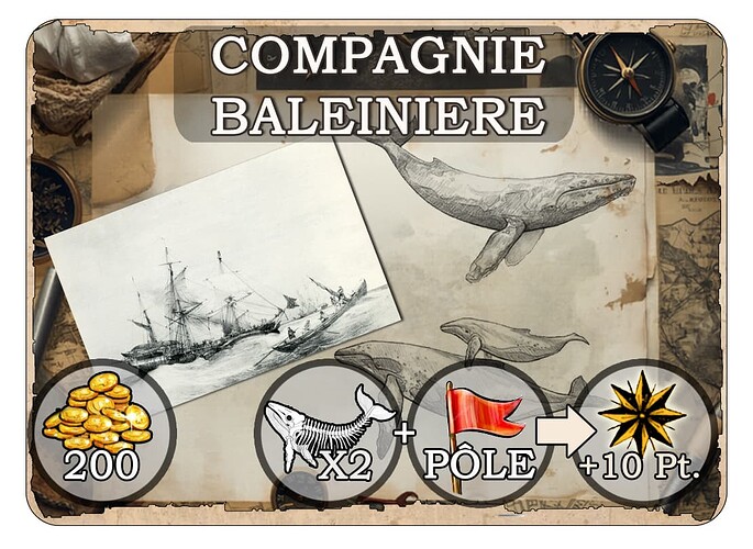 a compagnie baleiniere nationale