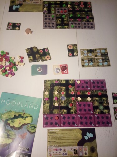 IMG_20260125_185911_376~2