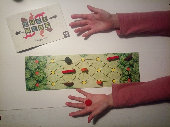 IMG_20251210_180907_848