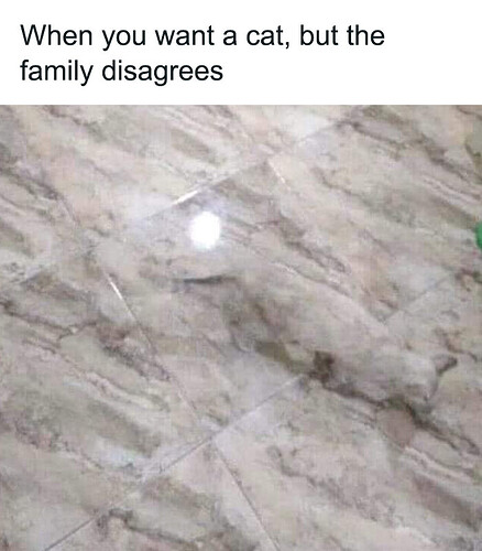 0d-642698f0c1fdc__700
