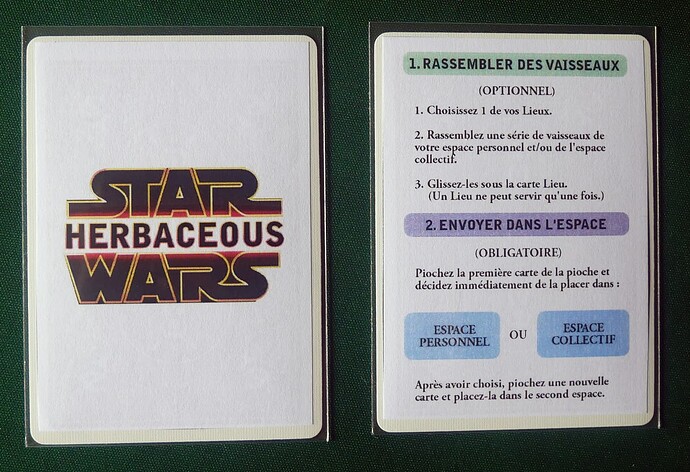 Herbaceous04