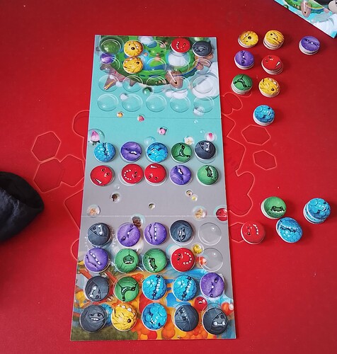 IMG_20260207_145041_2