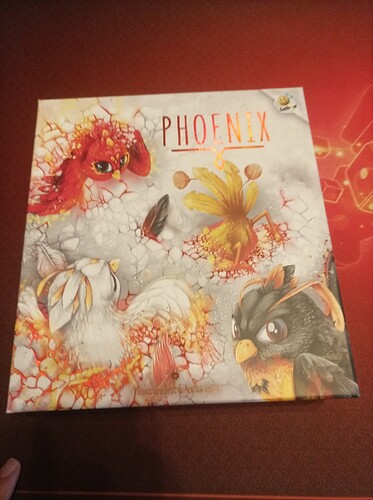 IMG_20251206_112548_1