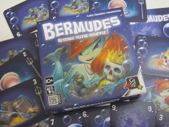 Critique de Bermudes