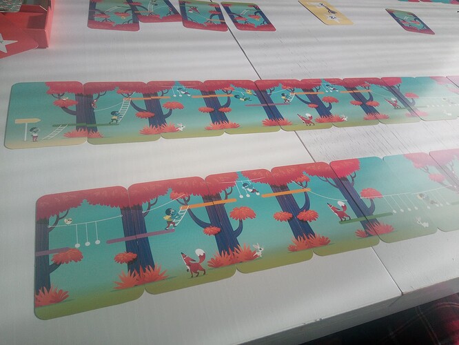 IMG_20251101_120454_237