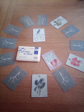 IMG_20260104_160245_294