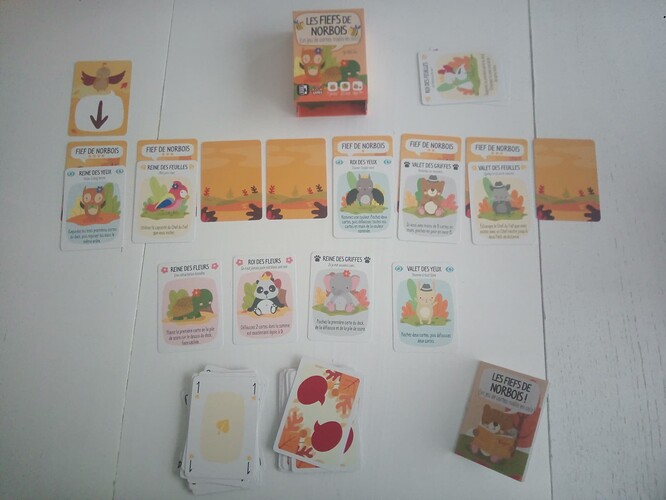 IMG_20260311_094610_627