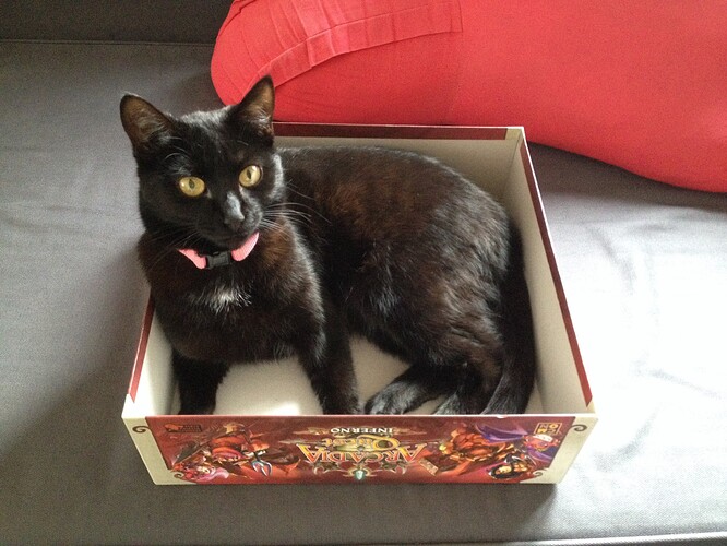 d97e03ad2b68bb4427f47e18a75e17964c7d.jpe