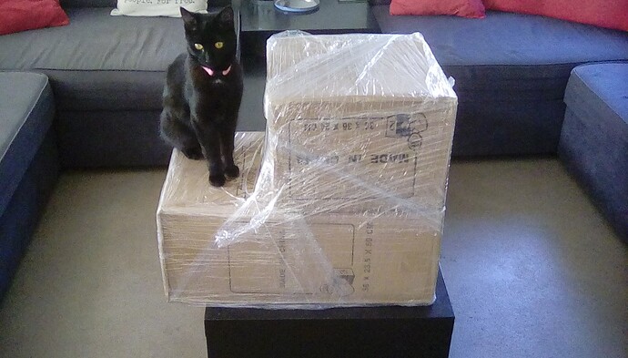 b7c81ba8f63c470a96900d559ba2f7d4b0ff.jpe