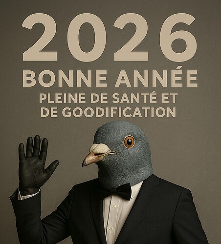 Bonne Annee 2026 de Mister Goodies