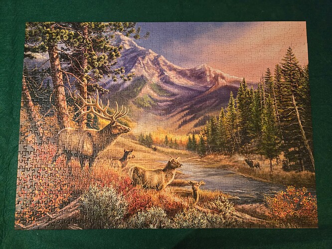 1000020503